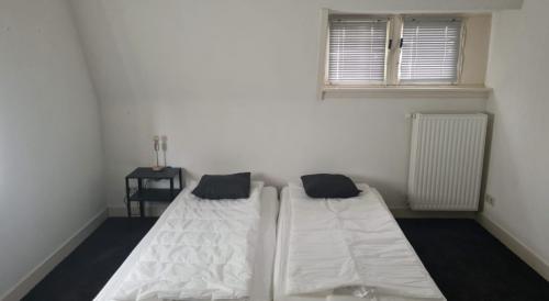 camp2-e1759659602663